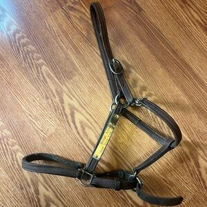 Brown Leather Horse Halter